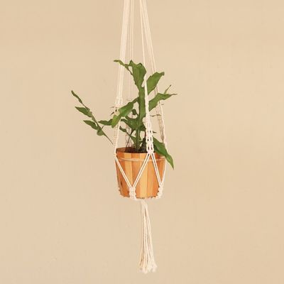 Alternate image for Hand-Knotted White Cotton Macrame Hanger from Bali Pure Home