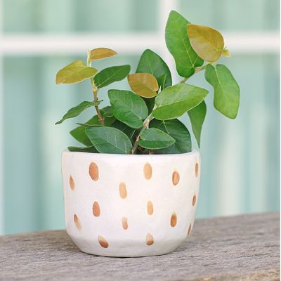 Alternate image for Handcrafted Ceramic Flower Pot with Brown Speckle Pattern Speckled Bud