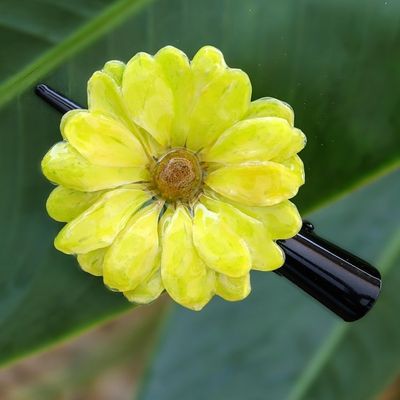 Alternate image for Natural Yellow Aster Hair Clip from Thailand Yellow Aster Passion