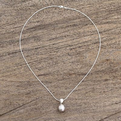 Alternate image for Hand Made Sterling Silver Pendant Necklace from Mexico Natures Treasures