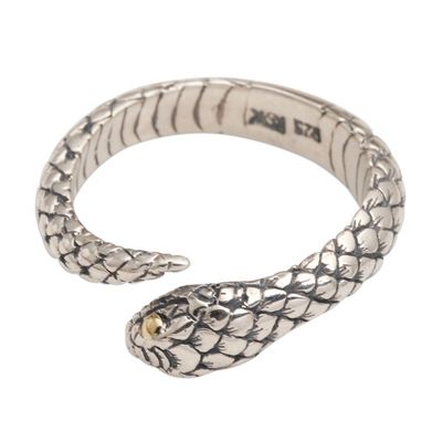 Alternate image for Realistic Sterling Silver Snake Wrap Ring Earth Serpent