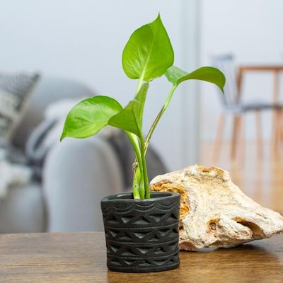 Alternate image for Mexican Handmade Barro Negro Black Ceramic Mini Flower Pot Oval Half Diamonds