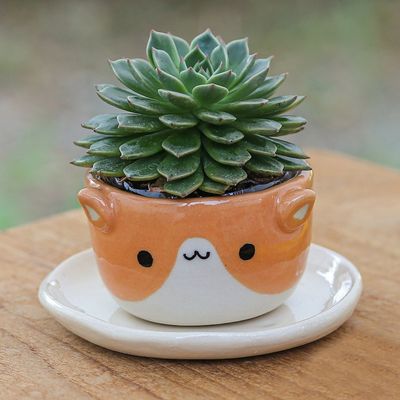 Alternate image for Cat-Themed Ivory Orange Ceramic Mini Flower Pot with Saucer Kitty Joy