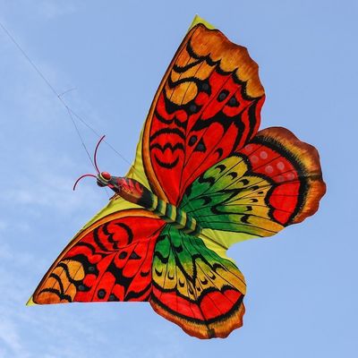 Alternate image for Hand-Painted Nylon and Bamboo Vibrant Butterfly Kite Autumnal Butterfly