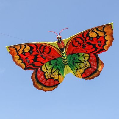 Alternate image for Hand-Painted Nylon and Bamboo Vibrant Butterfly Kite Autumnal Butterfly