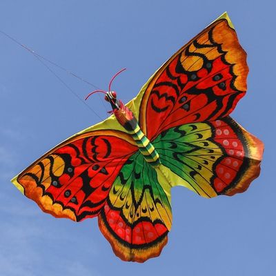 Alternate image for Hand-Painted Nylon and Bamboo Vibrant Butterfly Kite Autumnal Butterfly