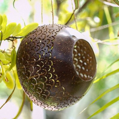 Alternate image for Coconut Shell Hanging Birdhouse from Indonesia Sea Scales