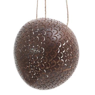 Alternate image for Coconut Shell Hanging Birdhouse from Indonesia Sea Scales