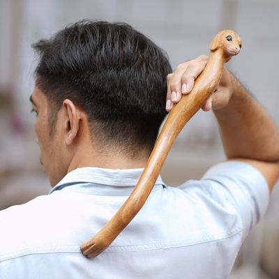 Alternate image for Dachshund Dog Paw Wood Back Scratcher Hand Carved in Bali Dachshund Delight in Natural