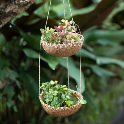 Alternate image for Handcrafted Coconut Shell Hanging Planter in a Natural Hue Natural Prosperity