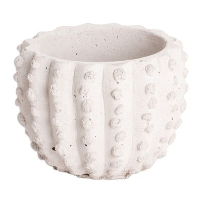 Alternate image for Handcrafted Cactus-Shaped Cement Flower Pot from El Salvador Cactus Spaces