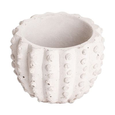 Alternate image for Handcrafted Cactus-Shaped Cement Flower Pot from El Salvador Cactus Spaces