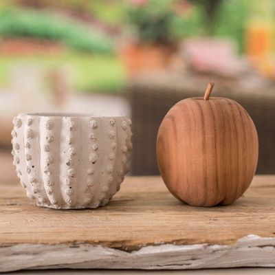 Alternate image for Handcrafted Cactus-Shaped Cement Flower Pot from El Salvador Cactus Spaces