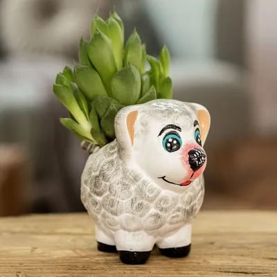 Alternate image for Handpainted Mini Ceramic Sheep Flower Pot from Guatemala Herbaceous Sheep