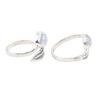 Alternate image for Rainbow Moonstone and Sterling Silver Toe Rings Pair Misty Leaf