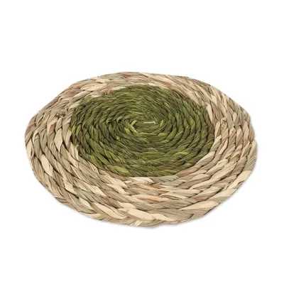 Alternate image for Set of 6 Handcrafted Natural Fiber Coasters in Green Tones Green Aura