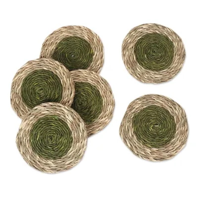 Alternate image for Set of 6 Handcrafted Natural Fiber Coasters in Green Tones Green Aura
