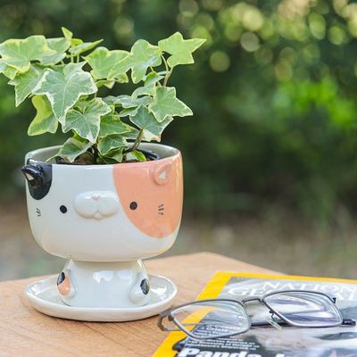 Alternate image for Handcrafted Cat-Shaped Ceramic Mini Flower Pot with Saucer Sweet Kitty