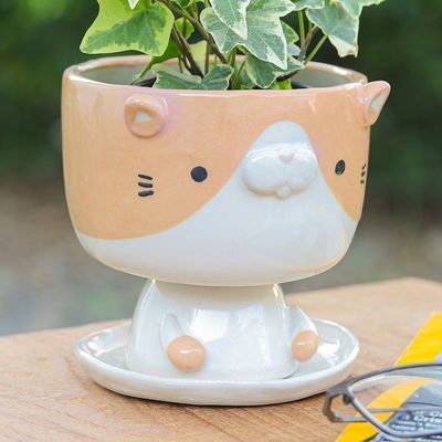 Alternate image for Cat-Shaped Ivory Orange Ceramic Mini Flower Pot with Saucer Enchanting Kitty