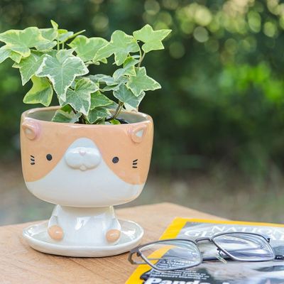 Alternate image for Cat-Shaped Ivory Orange Ceramic Mini Flower Pot with Saucer Enchanting Kitty
