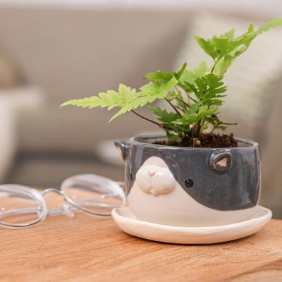 Alternate image for Handcrafted Tuxedo Cat-Themed Ceramic Flower Pot and Saucer Tuxedo Blossoming