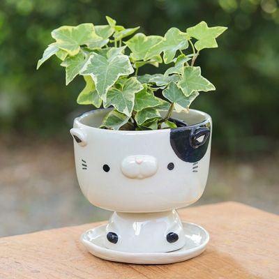 Alternate image for Cat-Shaped Ivory Black Ceramic Mini Flower Pot with Saucer Adorable Kitty