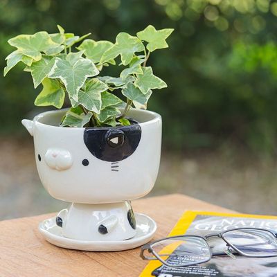 Alternate image for Cat-Shaped Ivory Black Ceramic Mini Flower Pot with Saucer Adorable Kitty