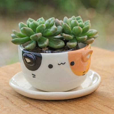 Alternate image for Ivory Orange Black Ceramic Cat Mini Flower Pot with Saucer Kitty Fascination