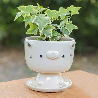 Alternate image for Cat-Shaped Ivory Ceramic Mini Flower Pot with Saucer Endearing Kitty