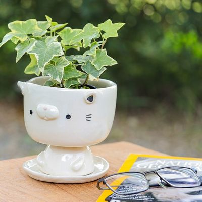 Alternate image for Cat-Shaped Ivory Ceramic Mini Flower Pot with Saucer Endearing Kitty