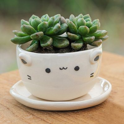 Alternate image for Handcrafted Ivory Ceramic Cat Mini Flower Pot with Saucer Kitty Grace