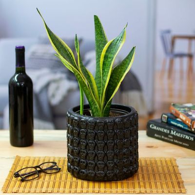 Alternate image for Handcrafted Skull-Patterned Round Black Ceramic Flower Pot Portal to the Dark Afterlife