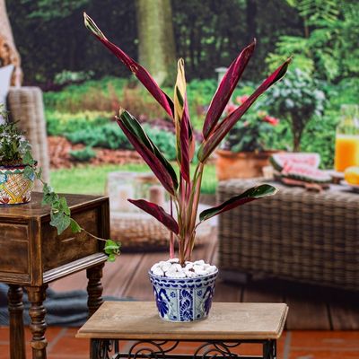 Alternate image for Artisan Crafted Ceramic Flower Pot Puebla Arabesque