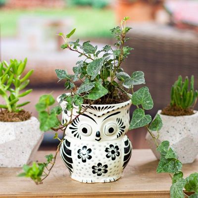 Alternate image for Black and White Ceramic Owl Flower Pot from Mexico Floral Owl