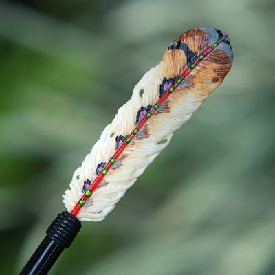 Alternate image for Feather-Themed Hand-Painted Hairpin in Warm Hues Feathered Nature