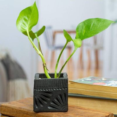 Alternate image for Mexican Handmade Barro Negro Black Ceramic Mini Flower Pot Square Peacock