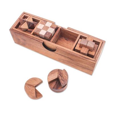 Alternate image for 4 Raintree and Rubberwood Brain Teaser Puzzles with Box Fun and Games