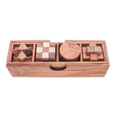 Alternate image for 4 Raintree and Rubberwood Brain Teaser Puzzles with Box Fun and Games
