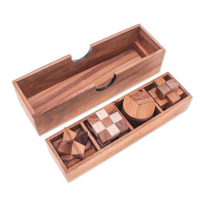 Alternate image for 4 Raintree and Rubberwood Brain Teaser Puzzles with Box Fun and Games