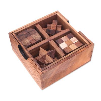 Alternate image for Set of 5 Wooden Brain Teaser Puzzles with Storage Box Challenge Your Mind