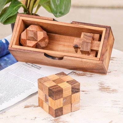 Alternate image for Set of 3 Raintree and Rubberwood Puzzles with Storage Box Game Time