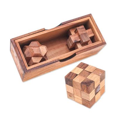 Alternate image for Set of 3 Raintree and Rubberwood Puzzles with Storage Box Game Time