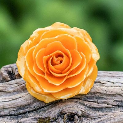 Alternate image for Artisan Crafted Natural Rose Brooch in Peach from Thailand Rosy Mood in Peach