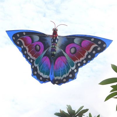 Alternate image for Hand Painted Nylon Blue Balinese Butterfly Kite Tropical Butterfly