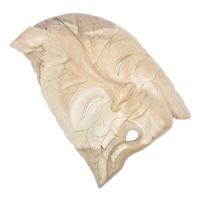 Alternate image for Hand Made Wood Mask from Indonesia Life of a Leaf