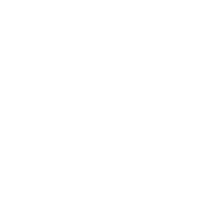 Smithsonian Folklife Festival